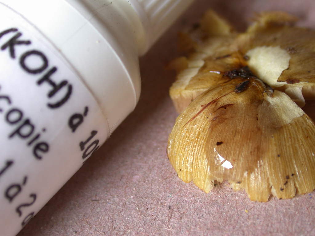 Pi� di cosi... QUIZ